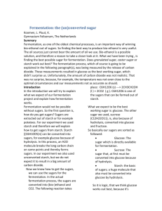 Fermentation: the (un)converted sugar