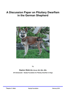 File - German Shepherd Pituitary Dwarfism