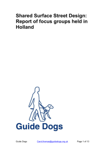 Report on Holland Focus Groups