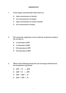 RESPIRATION - biologyatstabs