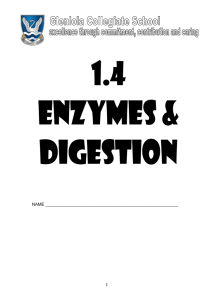 1.4 enzymes & digestion 2014