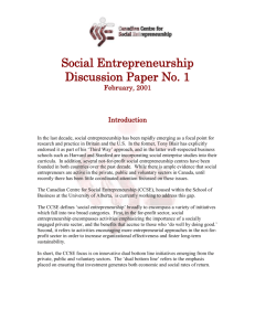 Social Entrepreneurship Discussion Paper