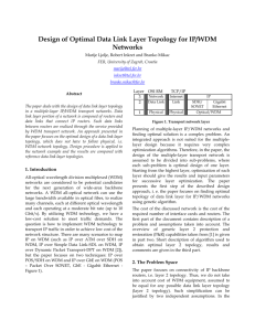Design of Optimal Data Link Layer Topology for IP/WDM Networks