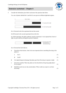 Extension worksheet – Chapter 9 - Cambridge Resources for the IB