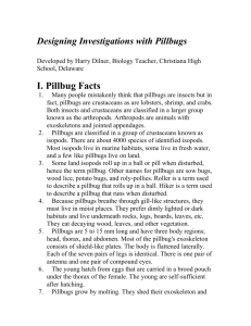 Pillbug Behavior