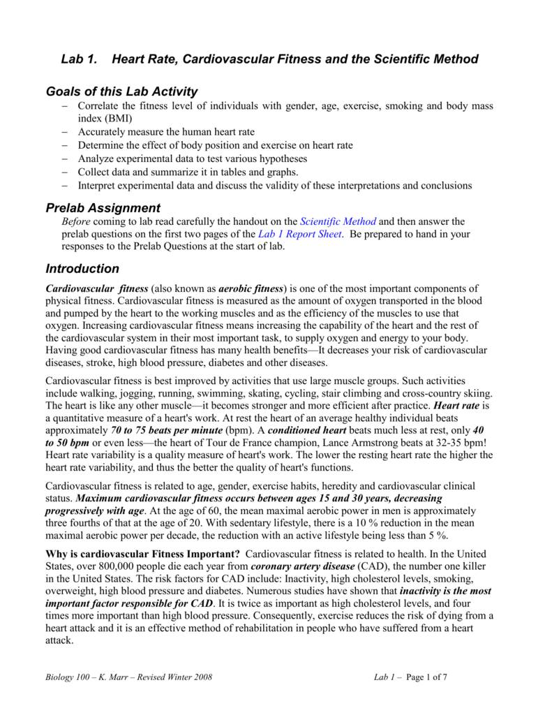 Heart Rate Lab