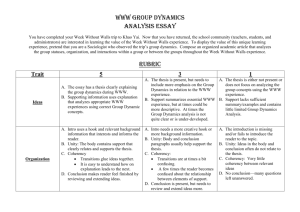 WWW Group Dynamics Essay.doc