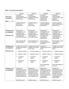 Dissection Rubric