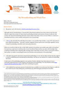 Breastfeeding and Work Plan (with explanations) word