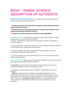 bsaa absorption of nutrients worksheet