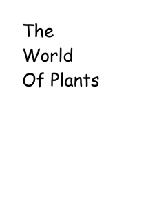 World of plants notes