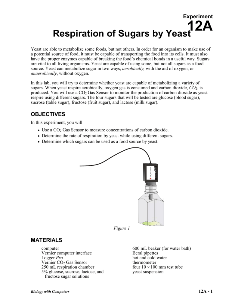 12a-yeast-respiration-co2-doc