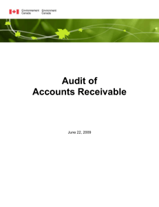 Audit Report Template.dot