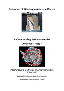 Syndicate: Cessation of whaling in Antarctic waters – a case for