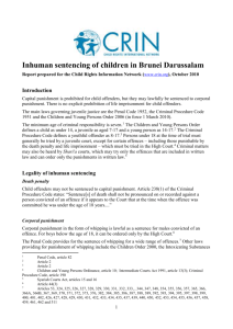 Inhuman sentencing of children in Brunei Darussalam Report