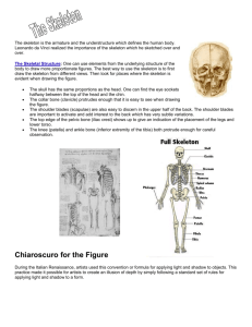 Anatomy & Chiaroscuro