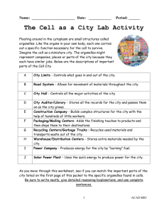 5. Academic Bio Cell as a City Lab Activity.doc