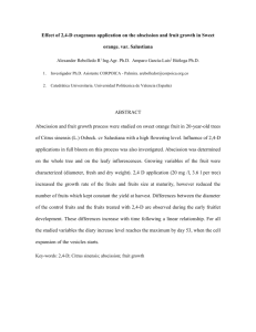 Effect of 2,4-D exogenous application on the abscission and fruit