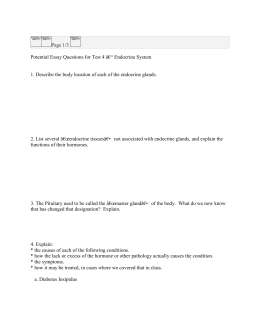 Endocrine System Worksheet Key