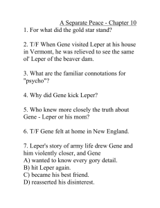 A Separate Peace Chapter 10 questions.doc