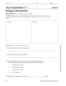 Lesson 3 | Energy in Ecosystems