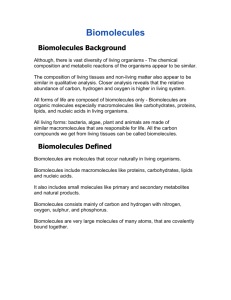 15. Biomolecule Notes.doc
