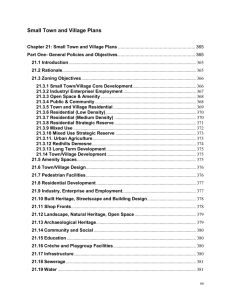 Consolidated Small Town and Village Plans.doc