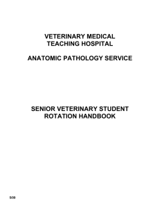 Anatomic Pathology Service- Senior Student Handout