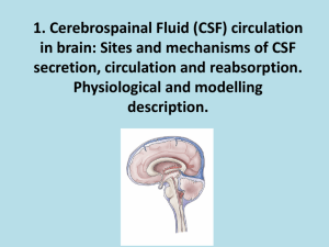 Physics of cerebrospainal fluid (CSF) circulation in brain: Sites and