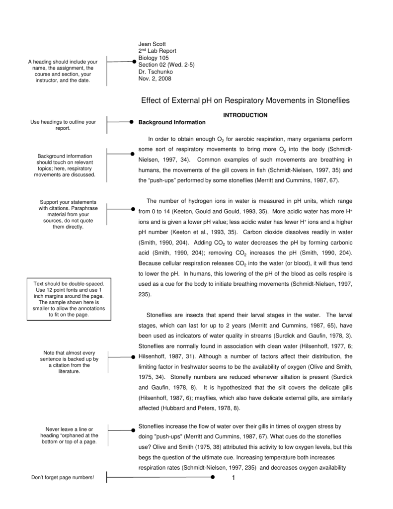 Sample Lab Report