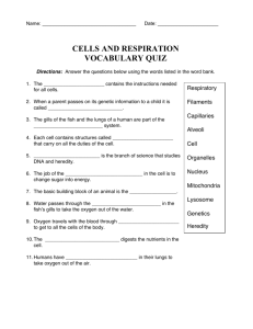 18 - Cells and Respiration Vocabulary Quiz