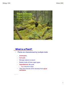Plant Diversity What is a Plant?