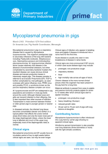 Mycoplasmal pneumonia in pigs - NSW Department of Primary