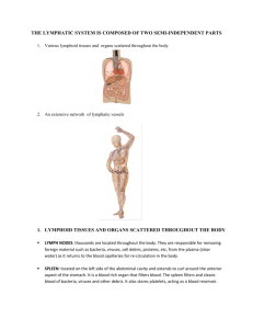 THE LYMPHATIC SYSTEM IS COMPOSED OF TWO SEMI