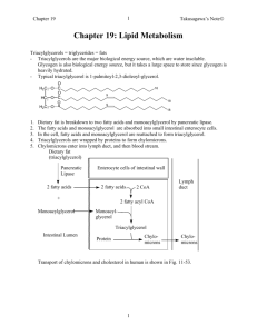 Chapter 23: Lipid Metabolism