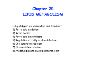 Lipid Digestion, Absorption and Transport