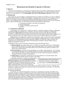 Biochemical and Metabolic Properties of Microbes