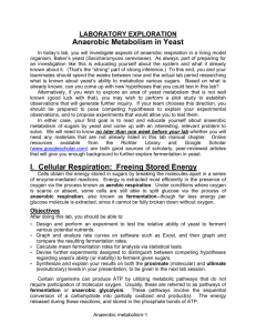 Anaerobic Metabolism in Yeast I. Cellular Respiration: Freeing
