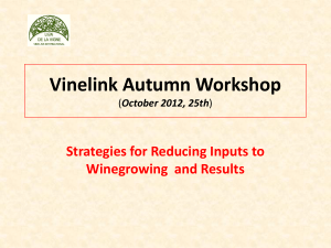 Vinelink Autumn WorKshop (October 2012, 25th)