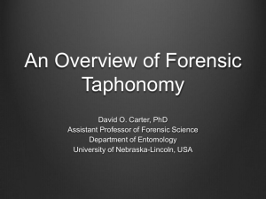 An Overview of Forensic Taphonomy