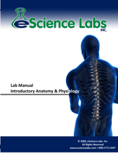 Urinary System Lab.pub (Read-Only)