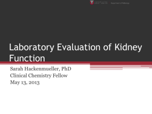 Laboratory Evaluation of Kidney Function