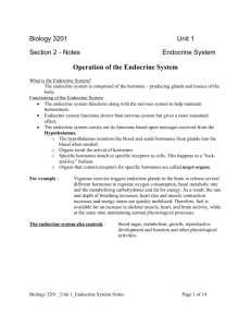 Operation of the Endocrine System