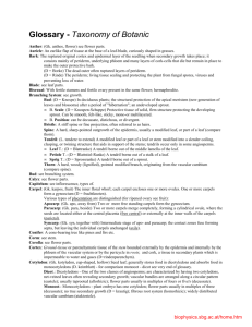 Glossary - Taxonomy of Botanic