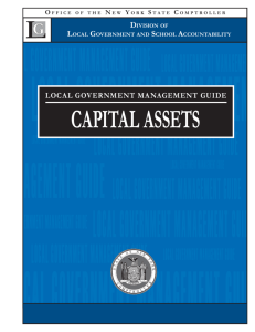 Local Government Management Guide