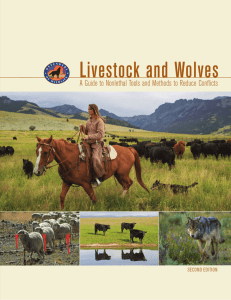 Livestock and Wolves - Defenders of Wildlife