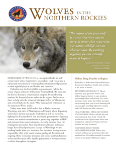 Wolves in the Northern Rockies