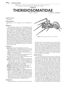 Theridiosomatidae