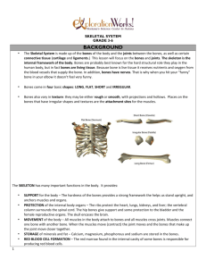 Bones Lesson Plan Grades 3-6