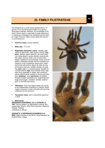 2. spider atlas families fl - Agricultural Research Council